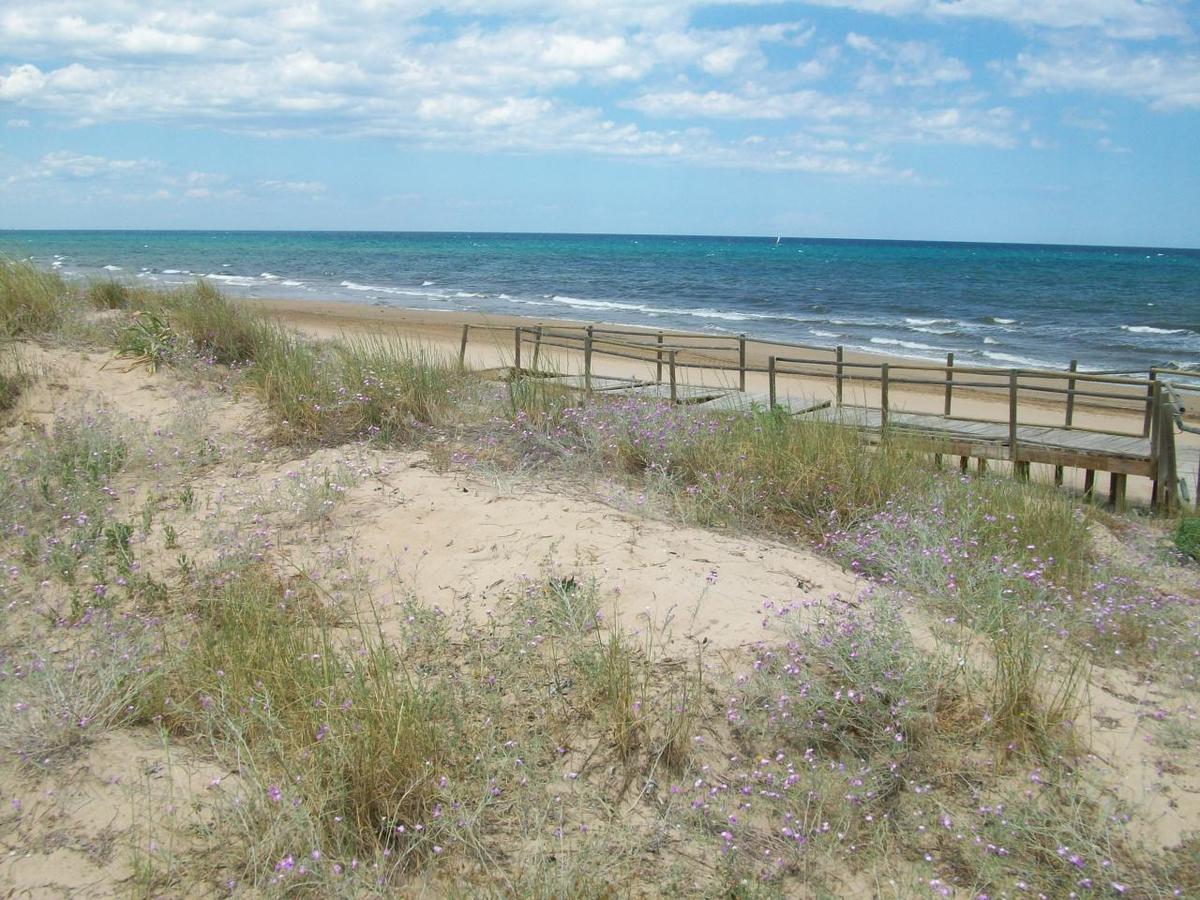 Roderic - Apartamento Junto Al Mar Oliva Exteriör bild