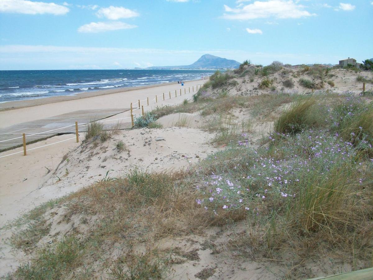 Roderic - Apartamento Junto Al Mar Oliva Exteriör bild